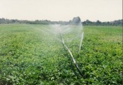 یک سوم اراضی قابل کشت در جهان از کمبود آب کافی برای کشاورزی رنج می‎برند‌