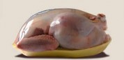 سازمان دامپزشکی کشور: مرغ ها هورمون ندارند