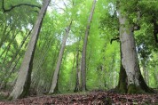 پروژه های حفاظت از جنگل و مرتع با اقتصاد مقاومتی همگام شده است