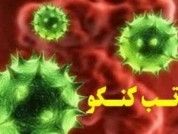شناسایی ۱۰ بیمار مشکوک به تب کریمه کنگو در استان اصفهان