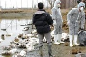 سند عملیاتی مقابله با آنفلوآنزای فوق حاد پرندگان در استان مرکزی تدوین شود